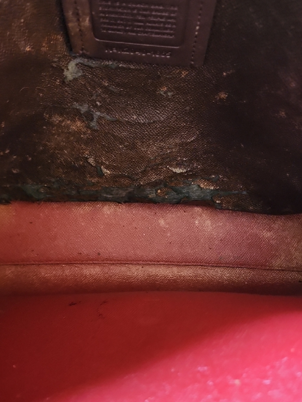 Coach Mollie Tote. PROJECT BAG. - Picture 12 of 15